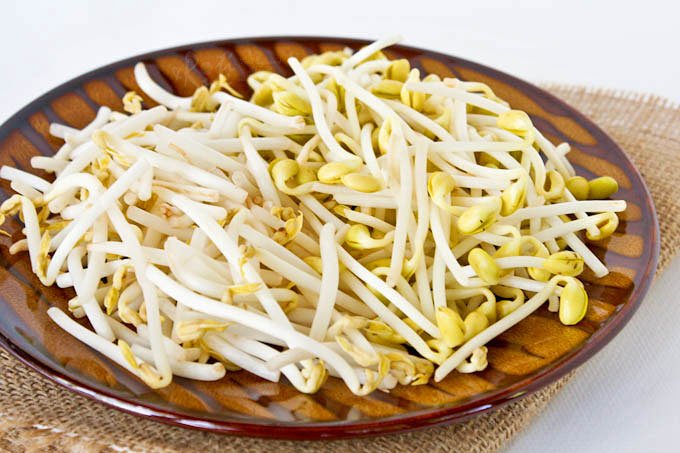 [Image: SoybeanSprouts-5.jpg]